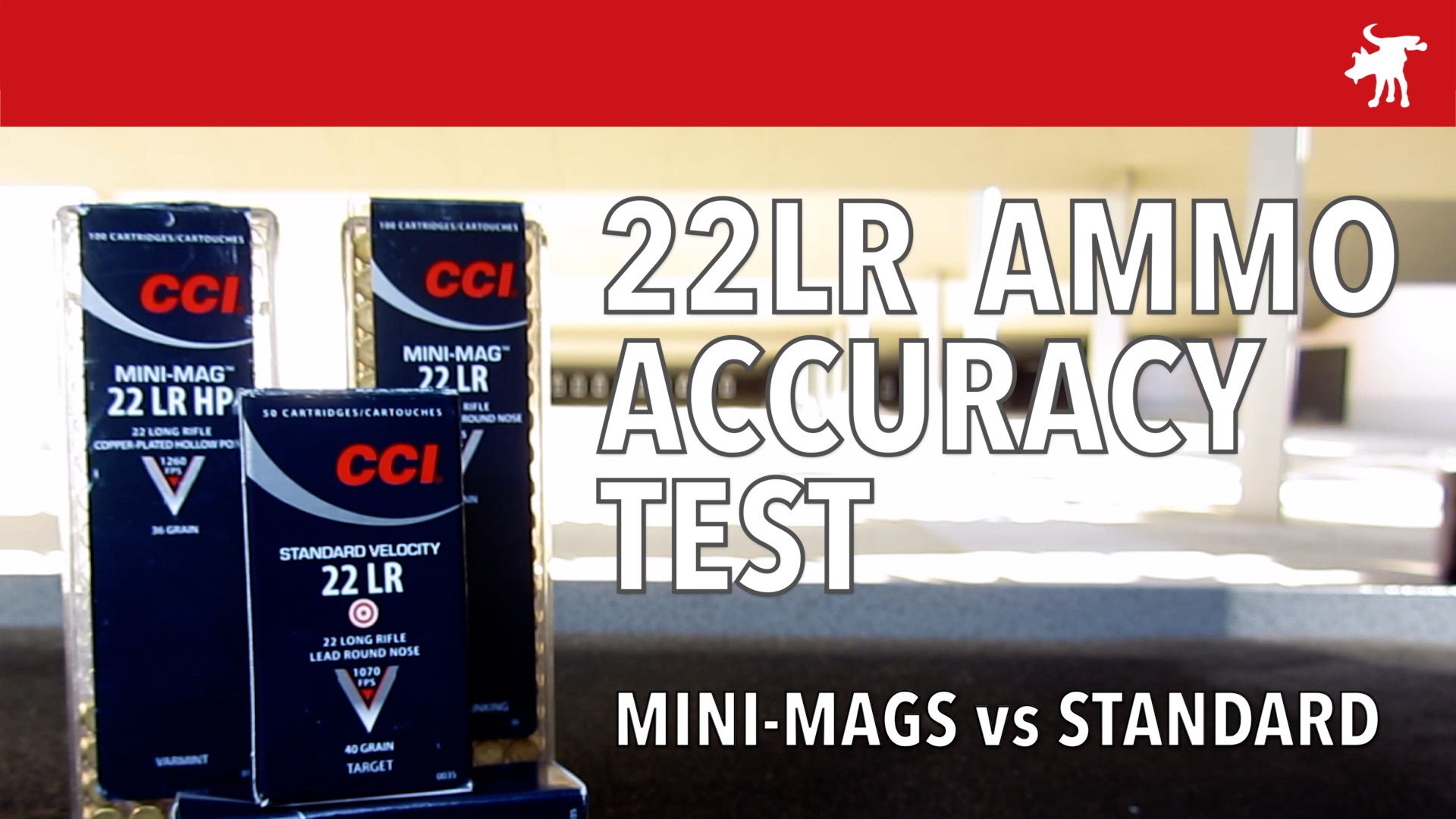 22LR Test: CCI Mini-Mags vs Standard