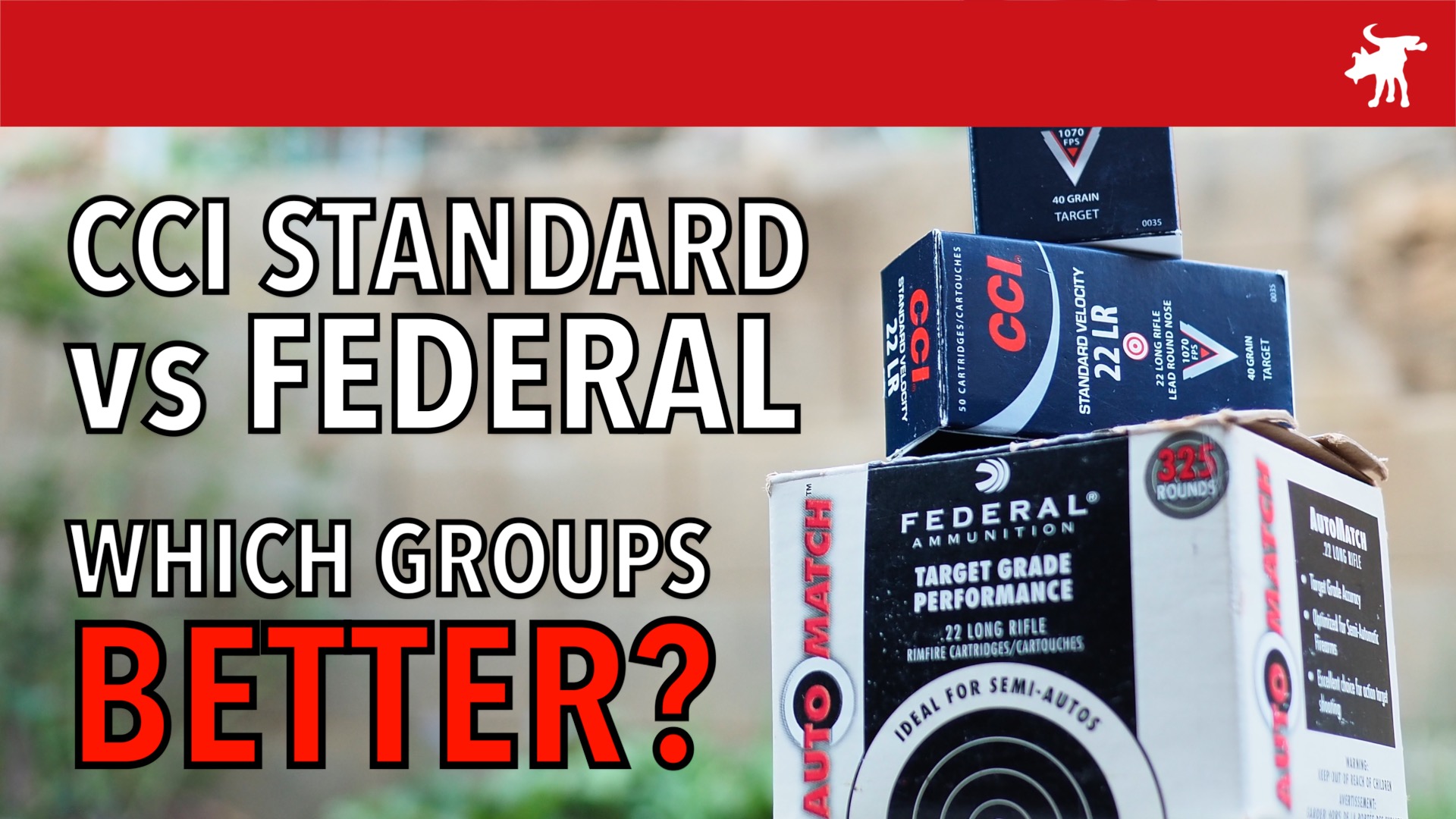 CCI Standard vs Federal Auto Match 22LR