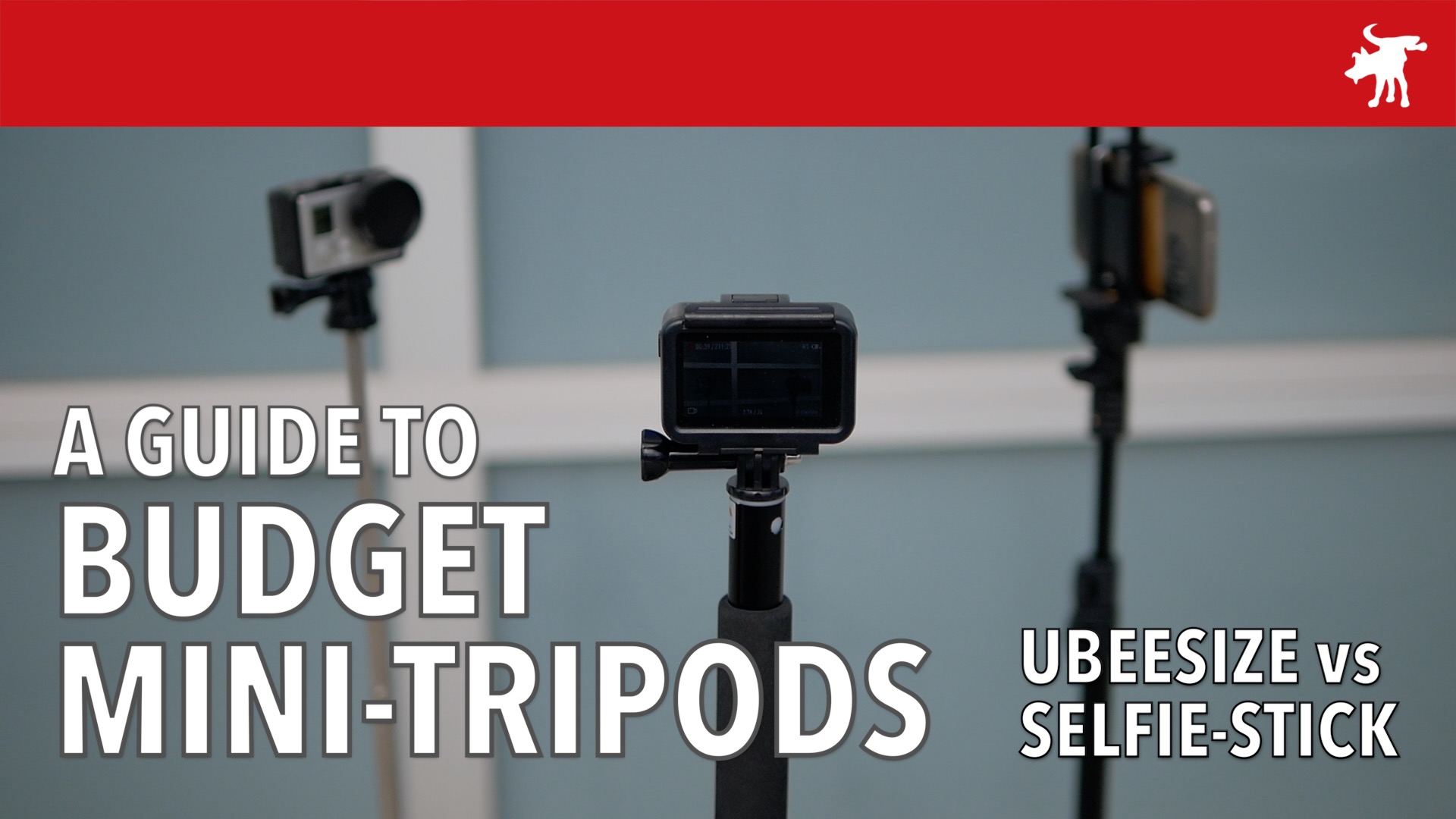 A Guide to Budget Mini-Tripods
