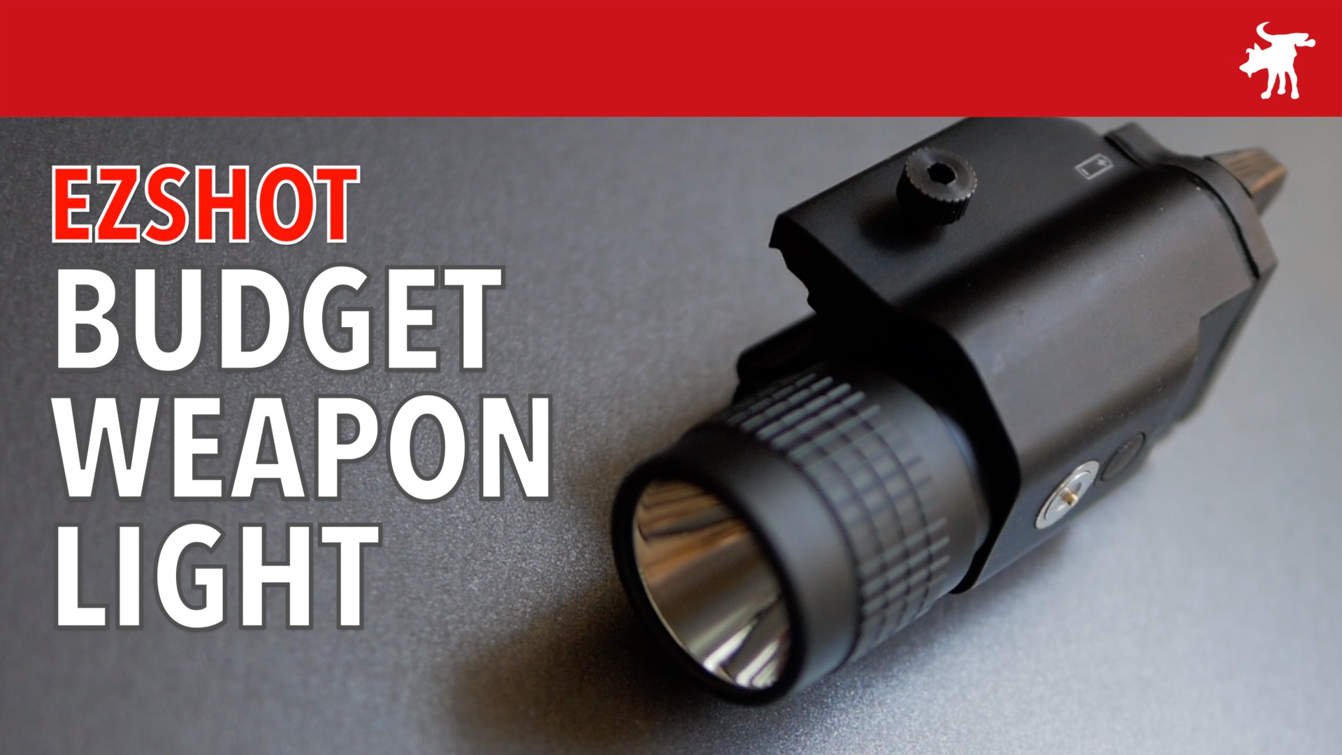 EZShot Budget Weapon Light