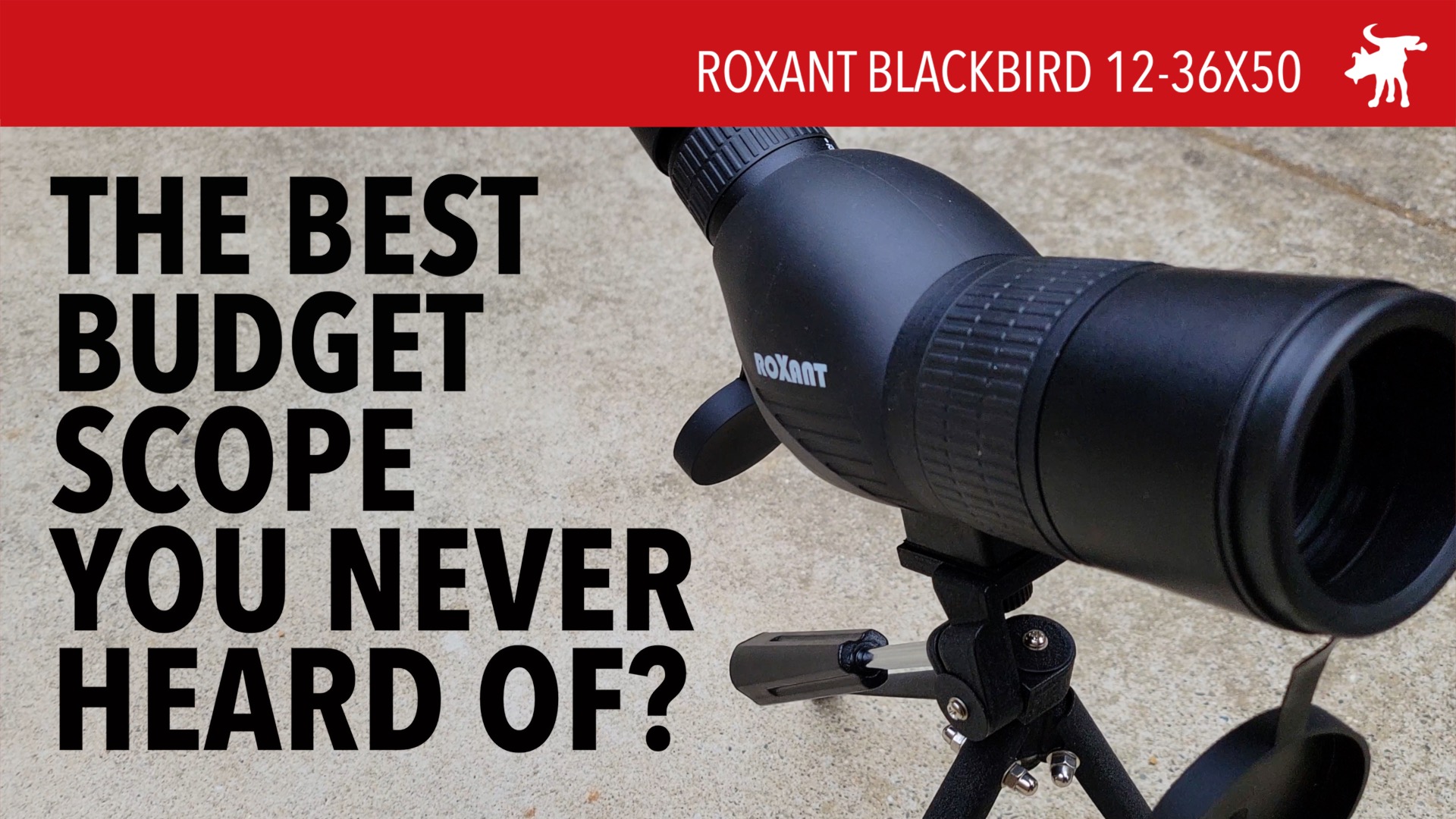 Roxant Blackbird 12-36×50