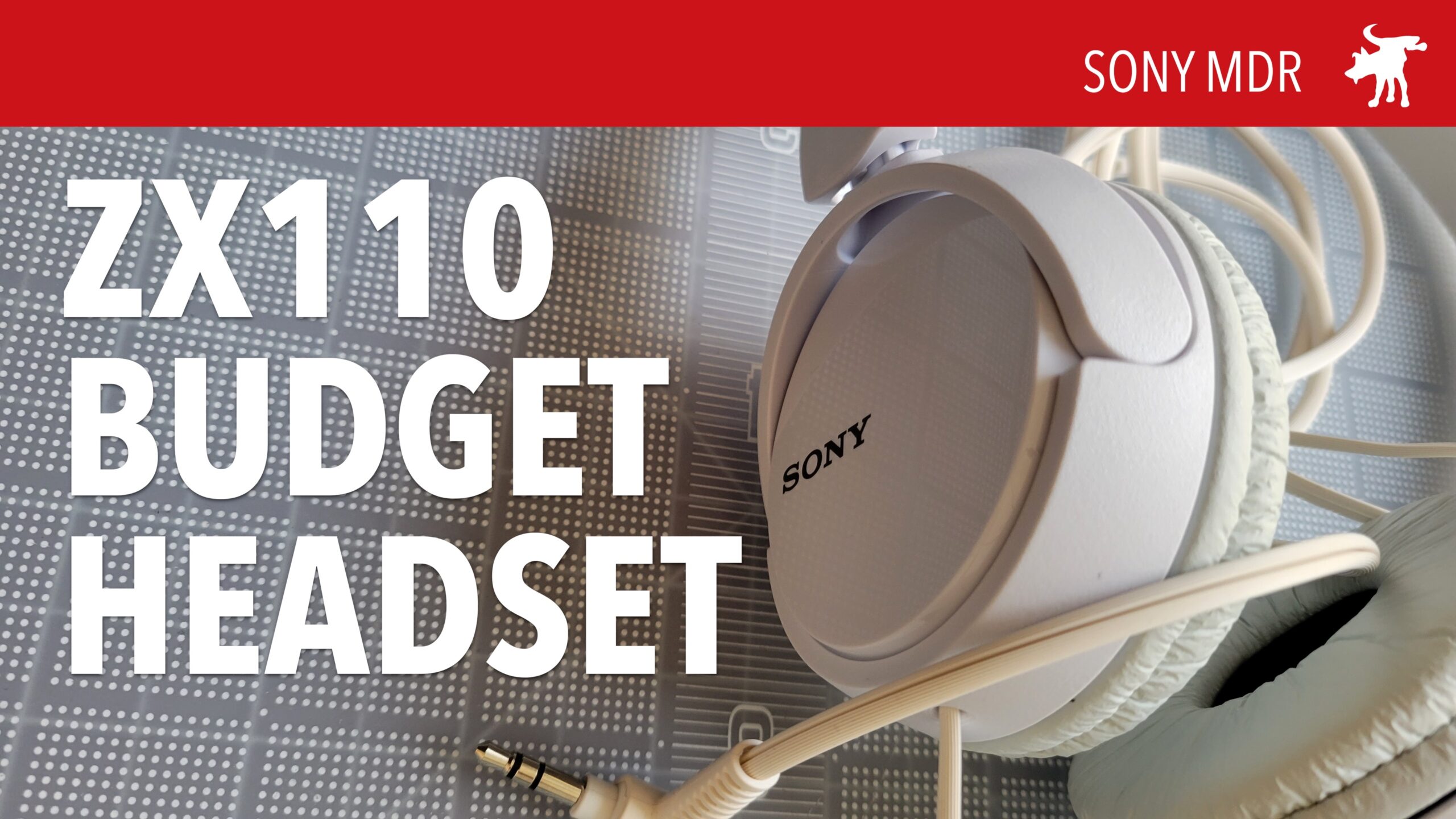 Sony MDR ZX110 Headphones