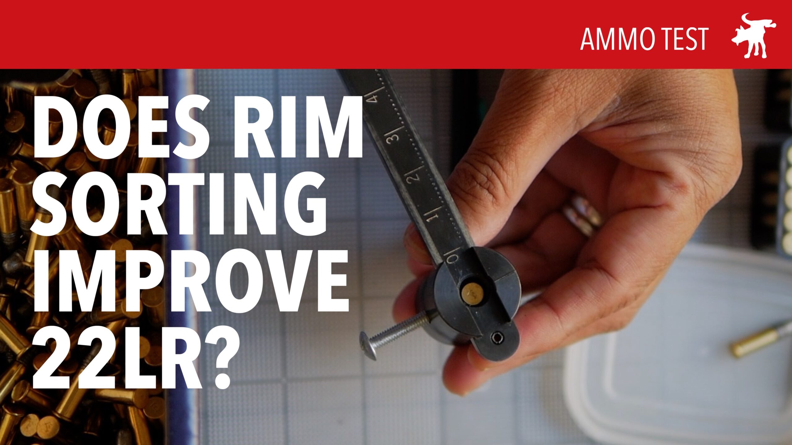 Rim Sorting 22LR