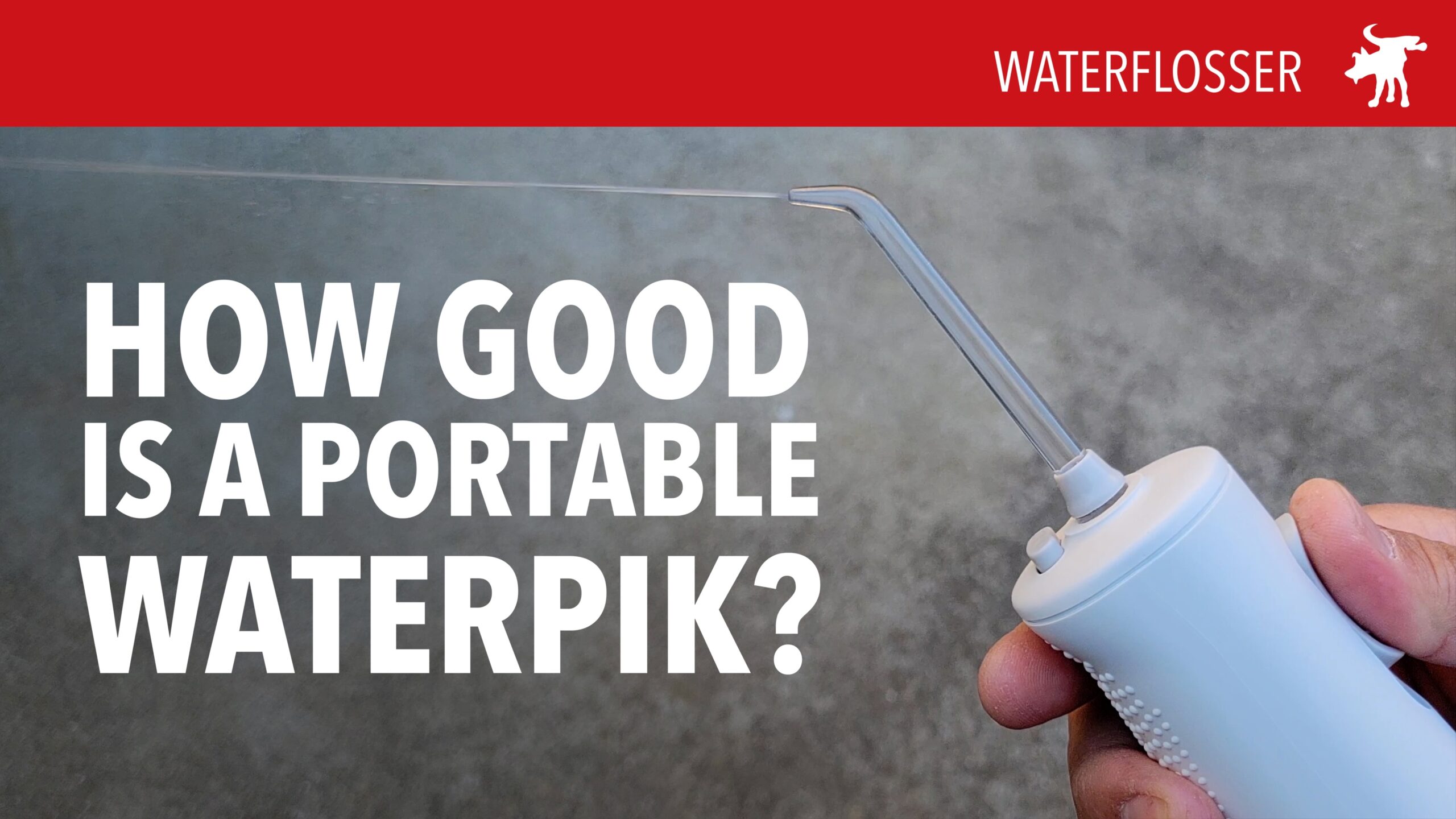 Waterpik Waterflosser