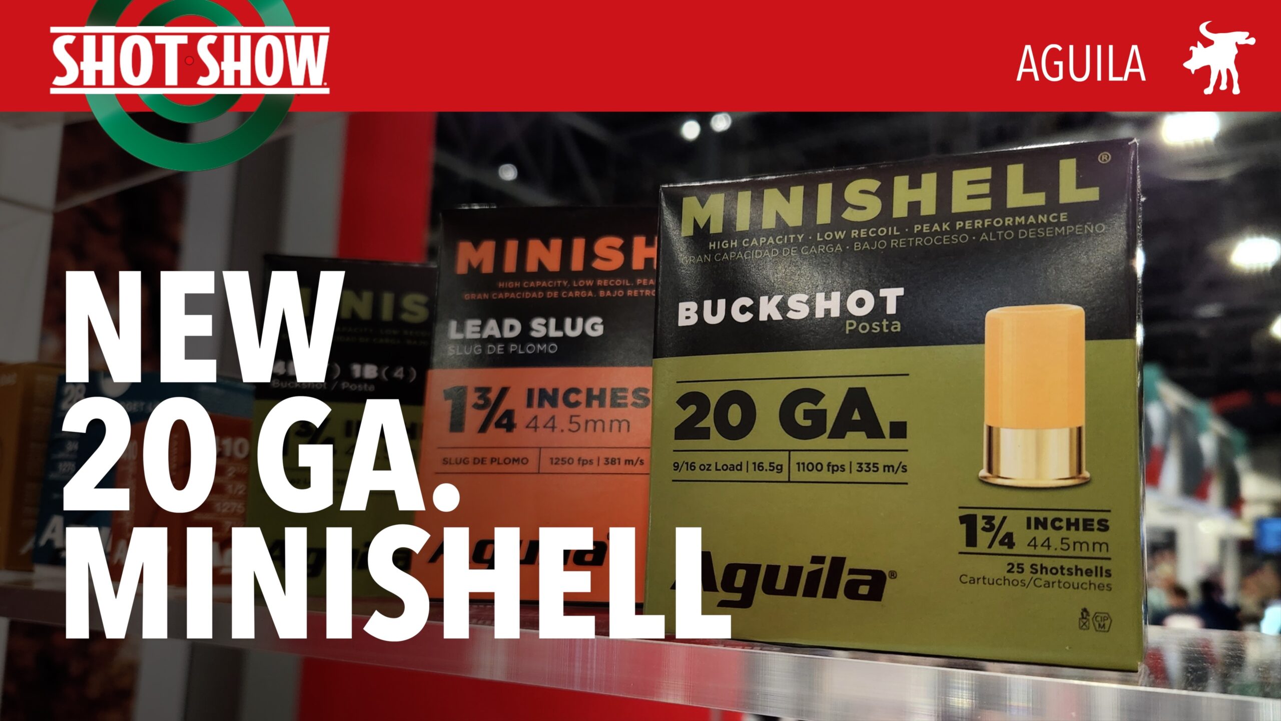 New Aguila 20ga Minishells
