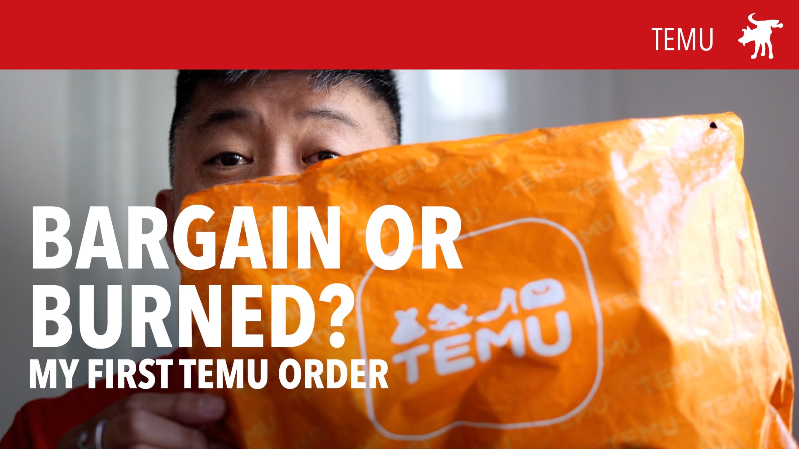 My first TEMU order